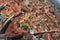 Bologna rooftops in Italy