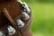 Bolted joints of iron pipes close-up on a light green blurred grass background. The concept of a strong connection and