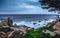 Boluder and Unique Tree Shoreline in Big Sur, California