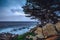 Boluder and Unique Tree Shoreline in Big Sur, California