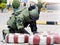 Bomb Disposal Expert in Bomb suit