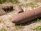 Bomb find pilot bombs from the World War