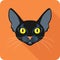 Bombay Black Cat icon flat design