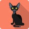 Bombay Black Cat icon flat design