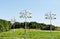 Bombay hook wildlife park purple martin birdhouses