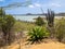 Bonaire = Gotomeer Lake viewpoint