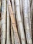 Bonaty-Bamboo trunks