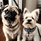Bonded dogs best friends - ai generated image