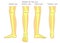 Bone fracture_Leg anatomy bones
