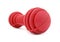 Bone rubber toy for dogs