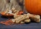 Bone shaped homemade pumpkin dogs cookies