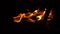 Bonefire, Fire flames in campfire, campsite at Masai Mara Park, Kenya, vertical video,