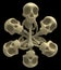 Bones Cartoon, Skulls Six