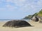 Bonete on Ilhabela Island, Brazil