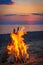 Bonfire on the beach by the sea at sunset