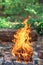 Bonfire or campfire. Orange flame of a fire at nature background