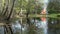 Bonfire campfire on pond coast in spring time near forest