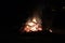 bonfire camping dark hot fire