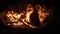 Bonfire in earthen pit at night. Slow motion