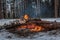 Bonfire firewood forest winter