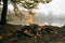 Bonfire in forest on the bank of lake, cold autumn evening