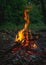 Bonfire in forest on green dark background. Small romantic fire flames. Wood campfire. Bright color. Adventure travel