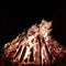 The bonfire in the New Year,Camping fires