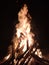 The bonfire in the New Year,Camping fires