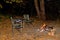 Bonfire night glade camping furniture, tourist camp, firewood and ax