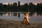 Bonfire on the the river bank at sunset