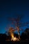 Bonfire under the big tree and night sky full of stars