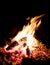 Bonfire Warms the Campsite