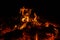 Bonfire winter dark night, view from top. Flame sores rise into lens. Roast oneself at fire on black backgroung isolated