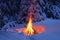 Bonfire in the winter forest illuminates the snow.