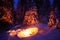 Bonfire in the winter forest illuminates the snow.