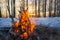 Bonfire winter in the forest at sunset .