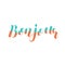 Bonjour. Brush lettering vector illustration.