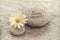 Bonnes vacances (meaning happy holiday) written on zen pebbles