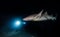 Bonnethead shark hunting at night