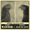 Bonnie & Clyde Wanted Poster