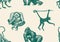 Bonobo or chimpanzee Seamless pattern. Western gorilla Orangutan. Vintage poster or banner. Colombian capuchin Proboscis