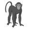 Bonobo monkey icon monochrome