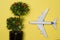 Bonsai and airplane shot on light yellow background