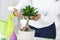 Bonsai care and tending houseplant growth