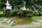 Bonsai in chinese stone garden