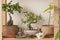 Bonsai corner with Asian decorative objects