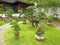 Bonsai Garden