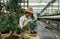 Bonsai greenhouse center. rows with small trees
