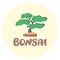 Bonsai illustration and lettering in flat style, small tree in pot, vector