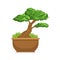 Bonsai Japanese Culture Symbol